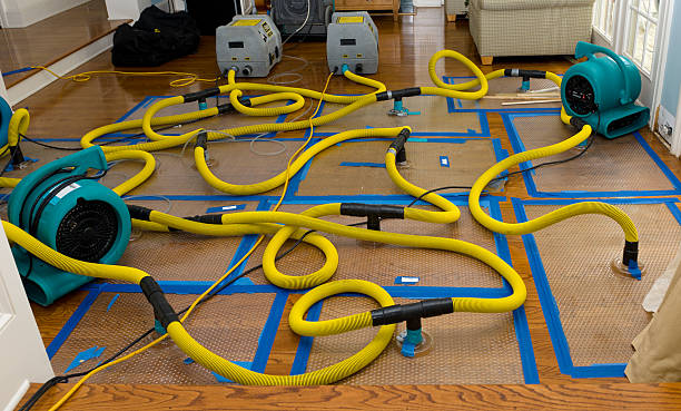 Professional Crawl Space Water Removal technician working in West Newbury, MA